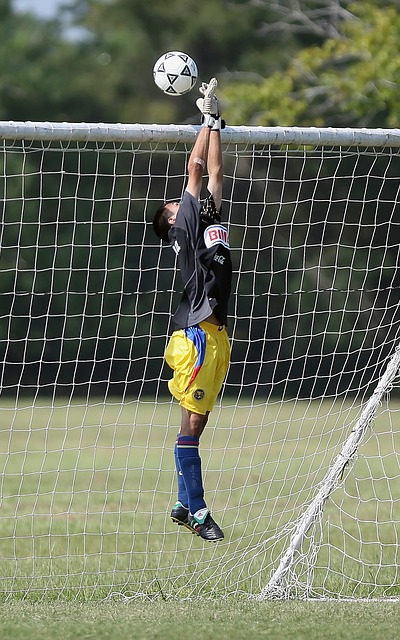 不放弃的精 不放弃的精