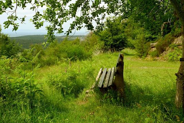 鲍尔何时归 鲍尔何时归