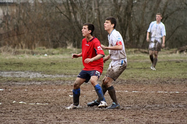 信球队的比 信球队的比