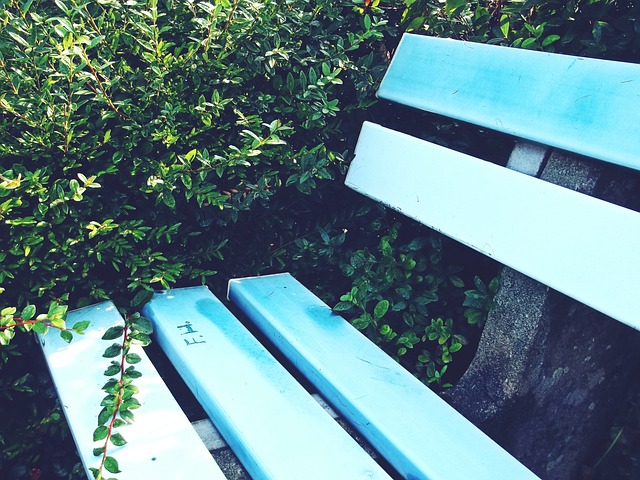 蘭德爾的發 蘭德爾的發