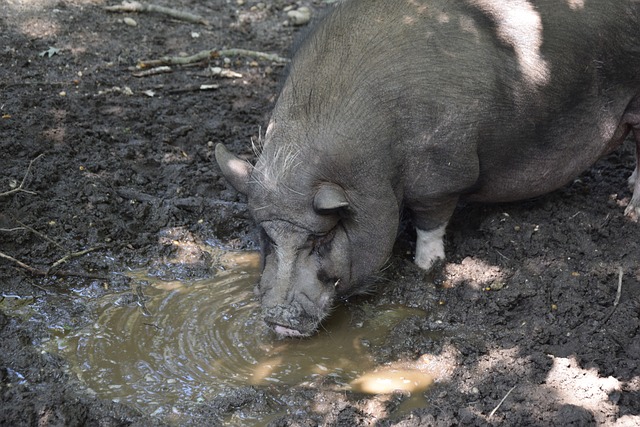 对身体的长 对身体的长